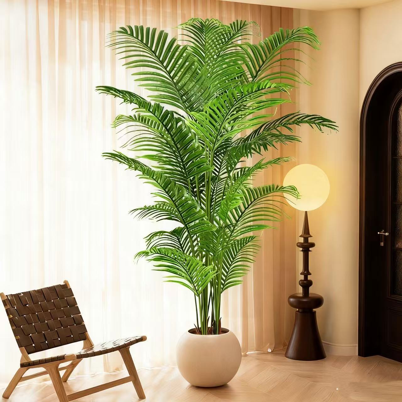 Areca palm