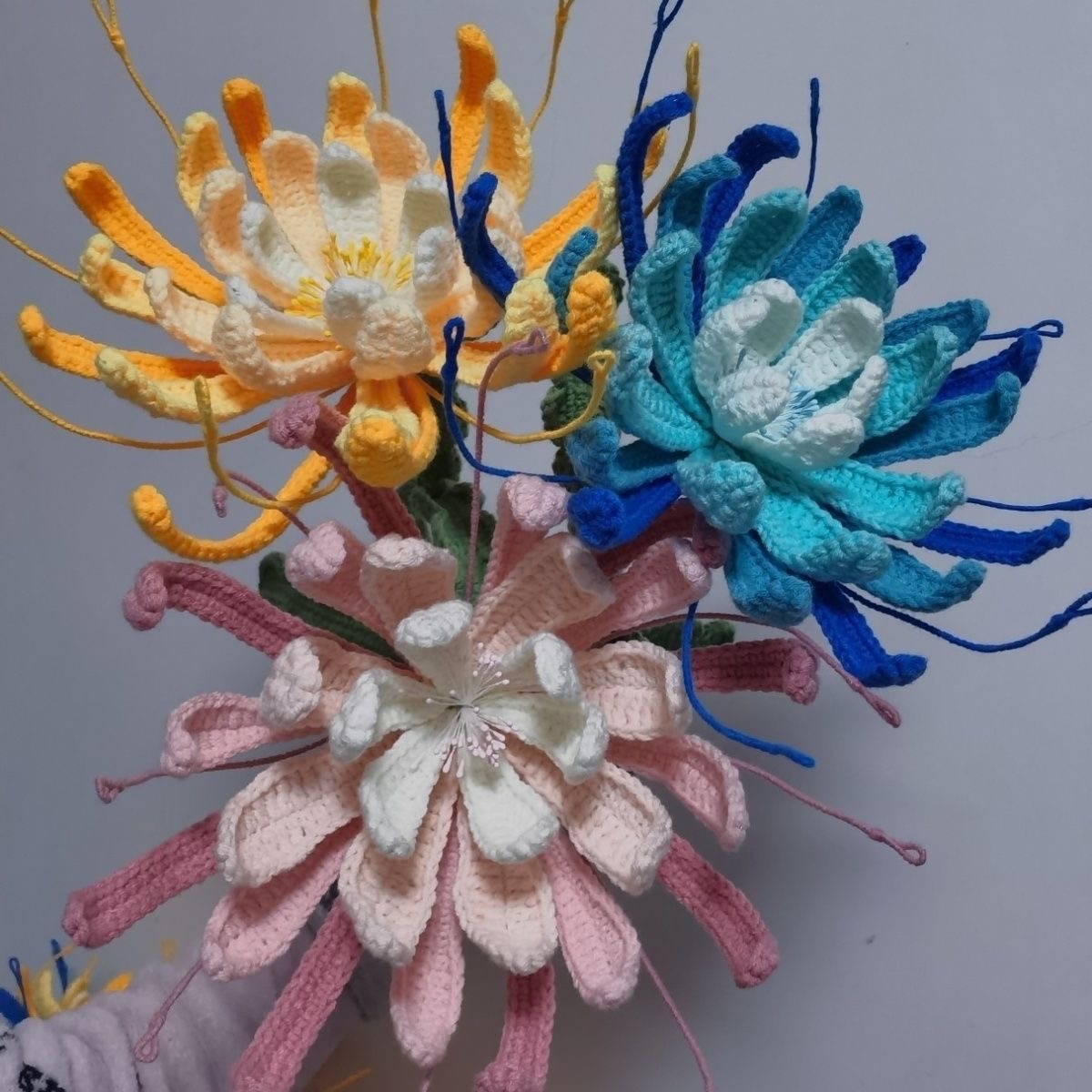 Night-blooming cereus